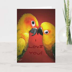 I LoveYou! Gruß-Karte Karte