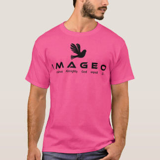 I Minus allmächtigen Gott gleich 0 T-Shirt