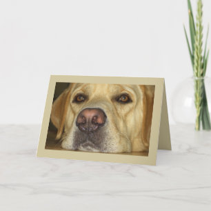 I miss you - Cute Yellow Labrador Karte