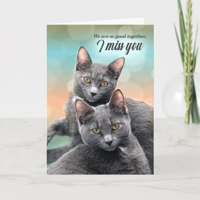 I Miss You Two Gray Cats I Miss Us Karte (Vorderseite)