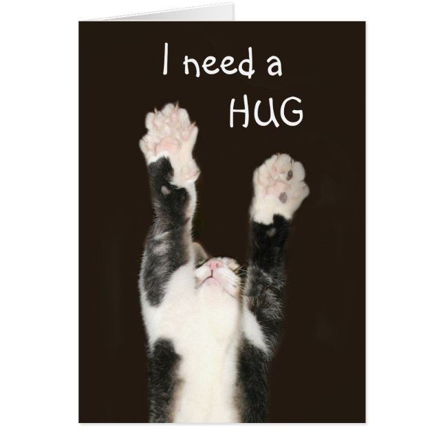 I need a hug cat (Vorne)