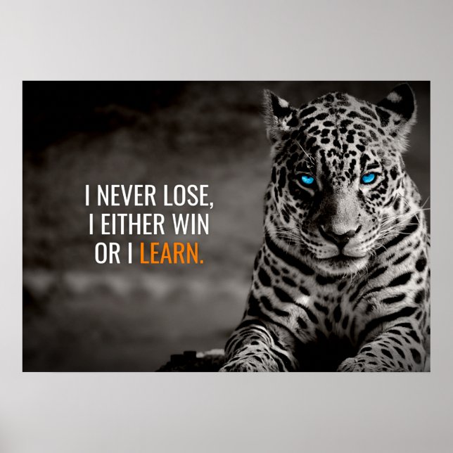 I never Lose Motivational Quote Leopard Poster (Vorne)