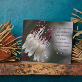 I Peter 4:13 Inspirationsblume Fotoplatte