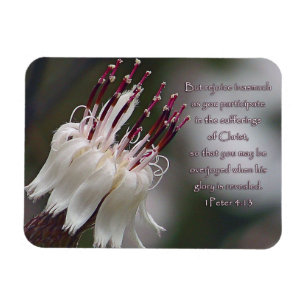 I Peter 4:13 Inspirationsblume Magnet