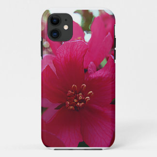 I Phone 5 Case: Herzblut iPhone 11 Hülle