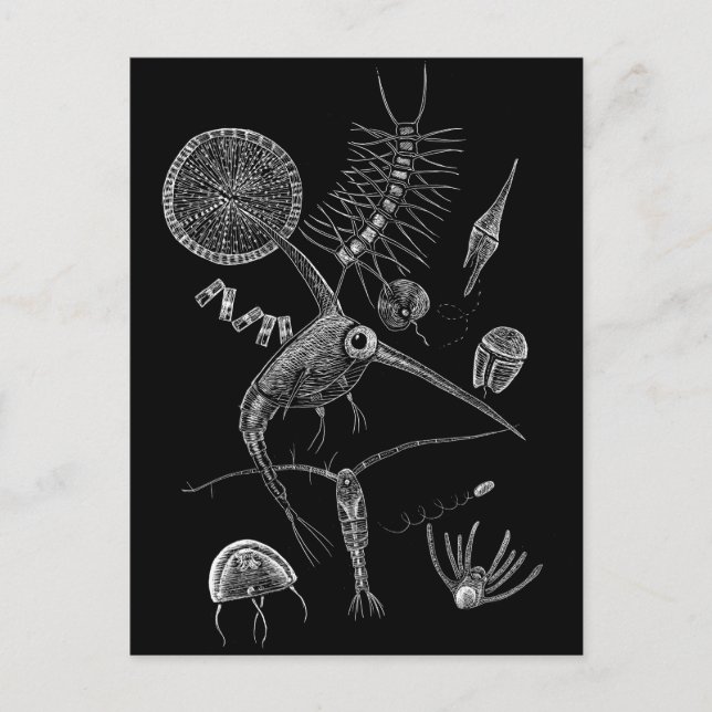 I PLN POSTKARTE (Vorderseite)