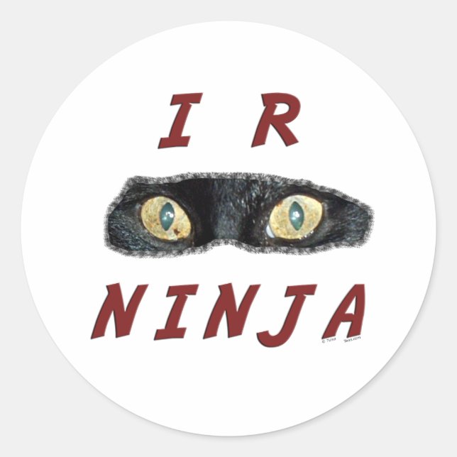 I-R-Ninja Stickers (Vorderseite)