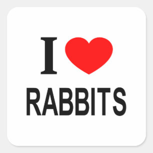 I ❤️ RABBITS I LIEBE RABBITS I HERZEN RABBBITS QUADRATISCHER AUFKLEBER