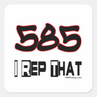 I Rep. 585 Area Code