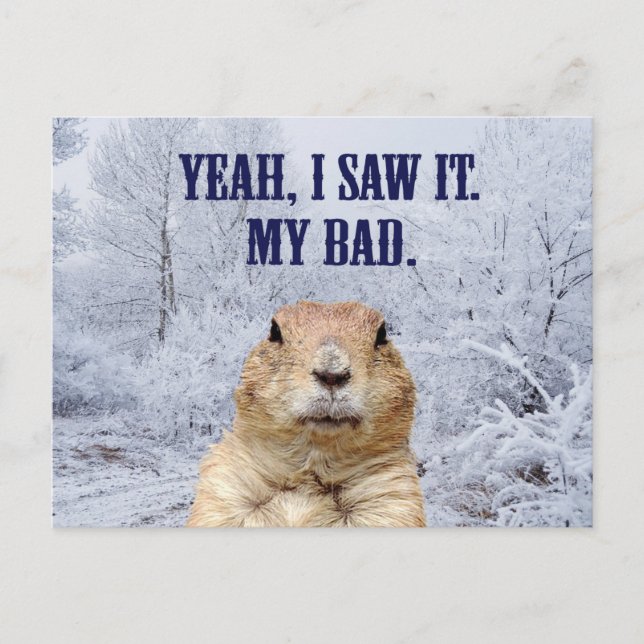 I Saw It Groundhog Day Postkarte (Vorderseite)