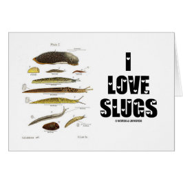 I Slugs Liebe (Naturwissenschaftler/Natur)