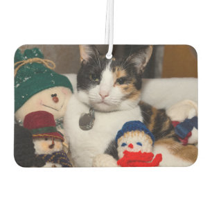 I Spy A Calico Autolufterfrischer