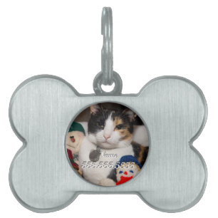 I Spy A Calico Pet Tag Tiermarke