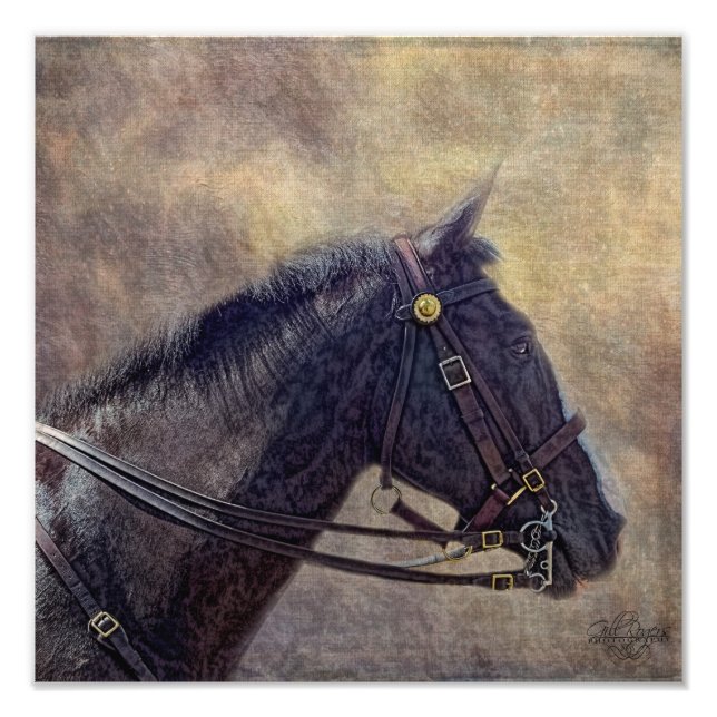 I Spy Fotodruck (Vorne)