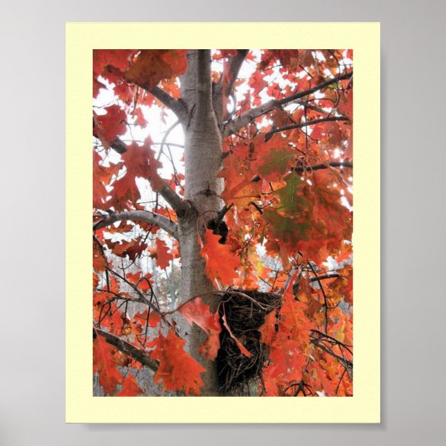 I Spy... Poster (Vorne)