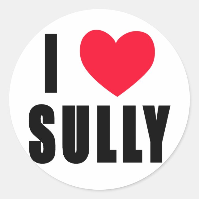 I Sully Liebe i-HERZ Sully Runder Aufkleber (Vorderseite)