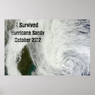 I Survive Hurricane Sandy Poster