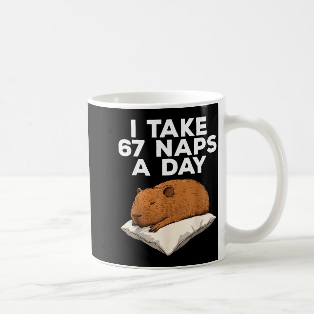 I Take 67 Naps A Day Funny Capybara Six Seven Meme Kaffeetasse (Rechts)