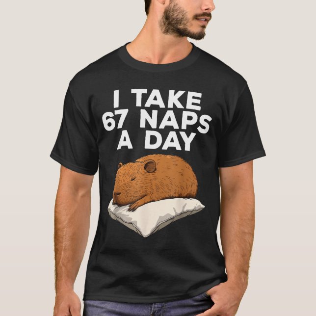 I Take 67 Naps A Day Funny Capybara Six Seven Meme T-Shirt (Vorderseite)