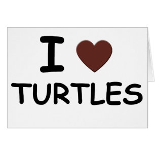 I TORTUES DE COEUR