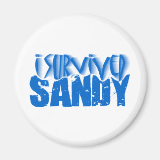 I Überlebte SANDY Magnet