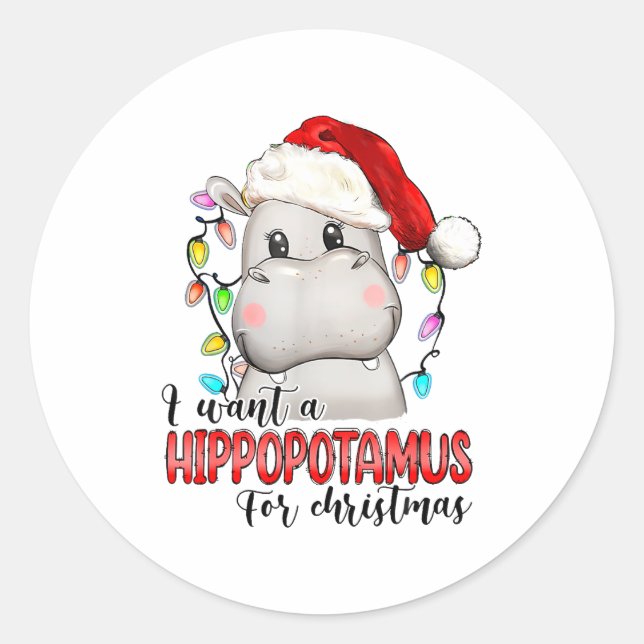 I Want A Hiptamus For Christmas Xmas Hip Lover  Runder Aufkleber (Vorderseite)