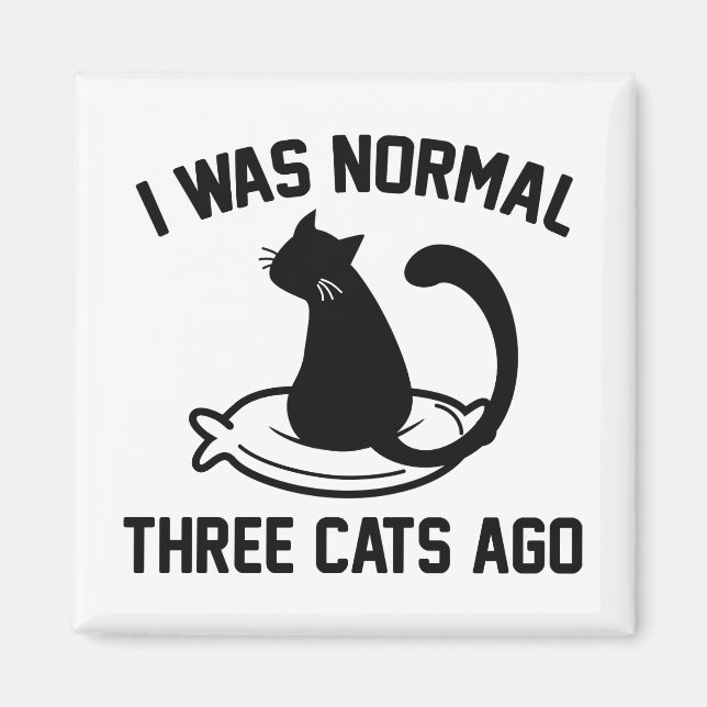 I Was Normal Three Cats Ago Magnet (Vorne)