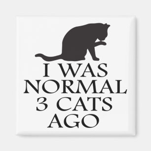 i-was-normal-vor-3-katzen--lustige-katze magnet