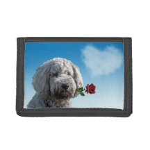 I Woof You Foto Wallet