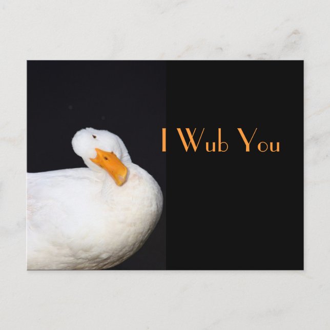 I Wub Sie, niedliche weiße Ente Postkarte (Vorderseite)