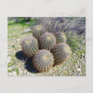 I X POSTKARTE