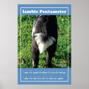 Iambic Pentameter 24" x 36" Klassenzimmer-Poster Poster