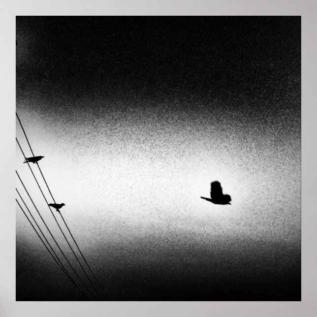 Ianiverse Noir (Die Mission) Poster (Vorne)