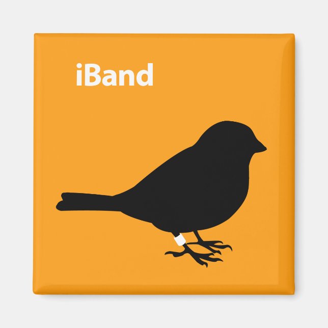 iBand Orange Magnet (Vorne)