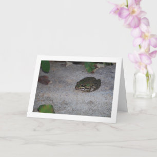 Iberischer Frosch Karte