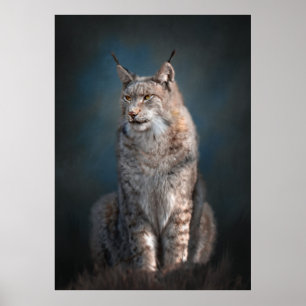 Iberischer Luchs sitzend Poster