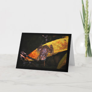 Iberischer Wasserfrosch auf Blatt Karte