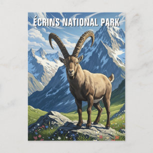 Ibex in Écrins Nationalpark Frankreich Reisen Postkarte