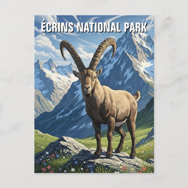 Ibex in Écrins Nationalpark Frankreich Reisen Postkarte (Vorderseite)