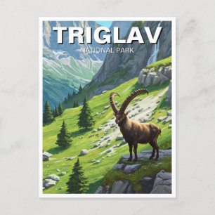 Ibex in Triglav Nationalpark Slowenien Reisen Postkarte