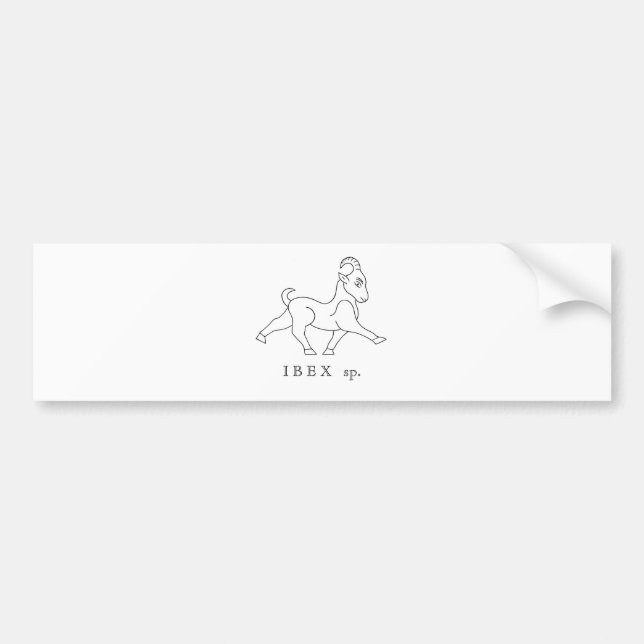 Ibex sp. Bouquetin Autoaufkleber (Vorne)