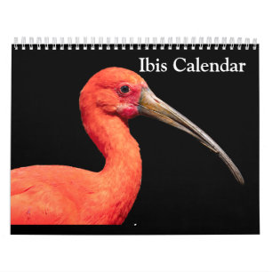 Ibis 2027 Kalender
