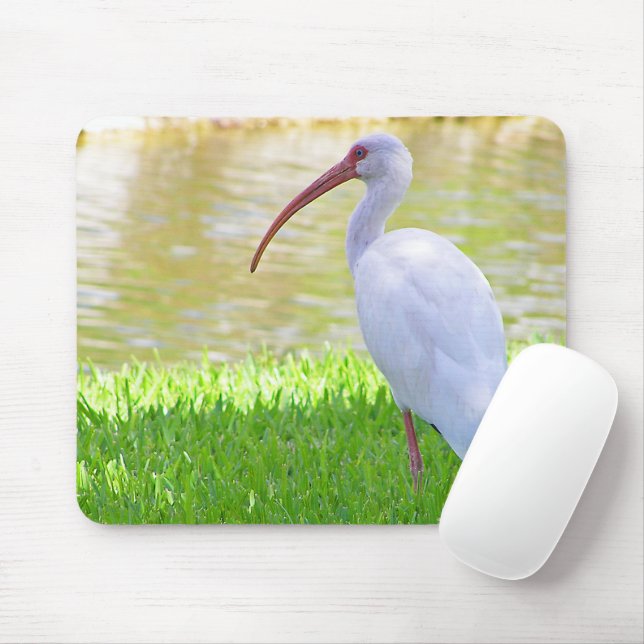 Ibis auf einem Halbbild Mousepad (Mit Mouse)