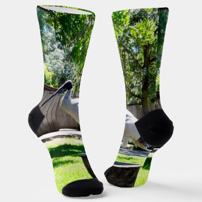 Ibis (Bin Chicken) auf einem Log, Crew Socks Socken (Gewinkelt)