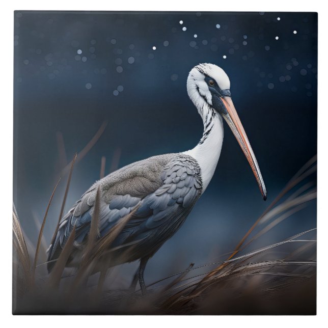 Ibis um Mitternacht Fliese (Vorderseite)