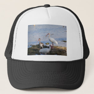 Ibis-Vögel am Ufer der Bucht von Florida Truckerkappe