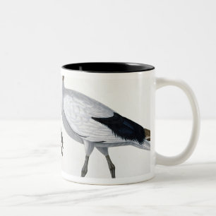 Ibises, "von der Beschreibung de L'Eypte", 1817 Zweifarbige Tasse