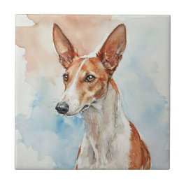 Ibiza-Podenco-Acryl-Fototafel Fliese