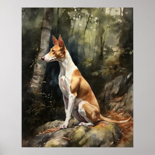 Ibizan Hound Dog Art Imprimer Poster
