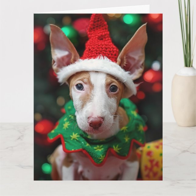 Ibizan Hound Elf Welpe Weihnachtskarte Karte (Vorderseite)